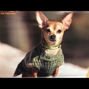 Meet your Posher, Erickson